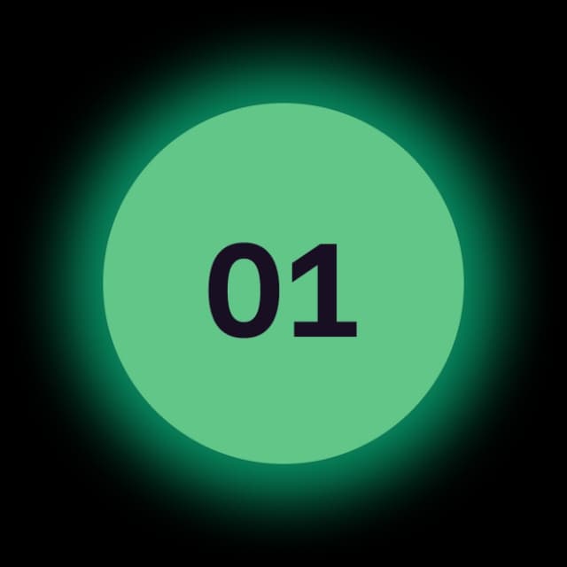 Icon 1