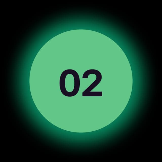 Icon 2
